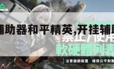 游戏开挂辅助器和平精英,开挂辅助软件和平精英。
